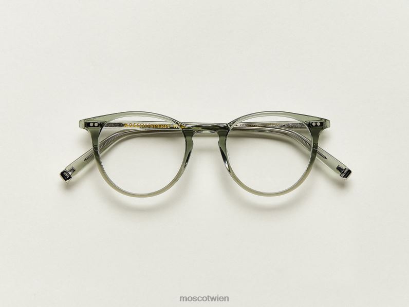 Moscot Salbei Jared Brille 046HT348