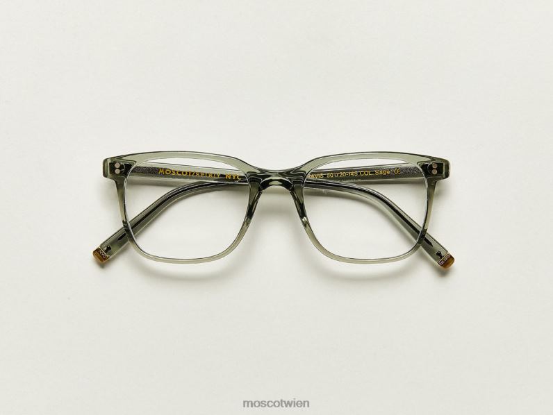 Moscot Salbei Travis Brille 046HT349