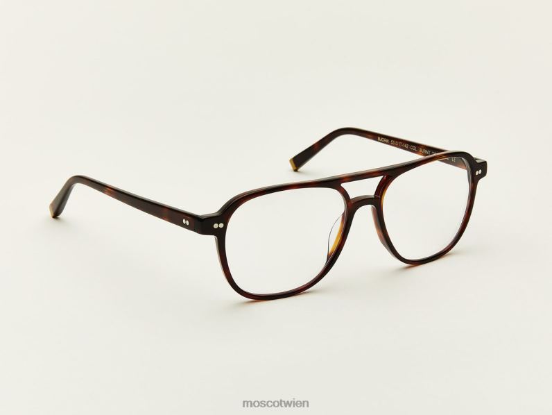 Moscot verbrannte Schildkröte Björn Brille 046HT327