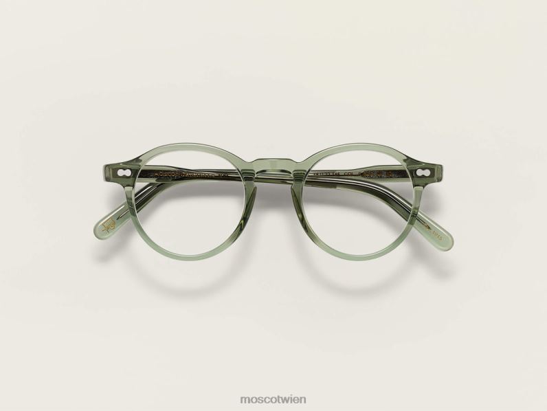 Moscot Salbei miltzen Brille 046HT28