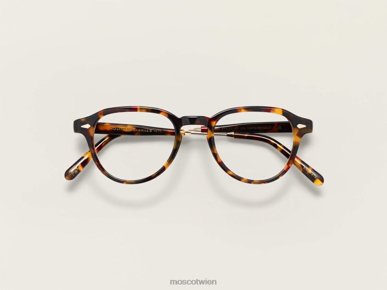 Moscot Schildkröte/Gold kasch Brille 046HT82